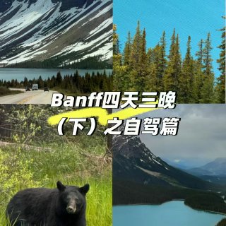 Banff四天三晚(下)|不踩雷路线🚙🏔...