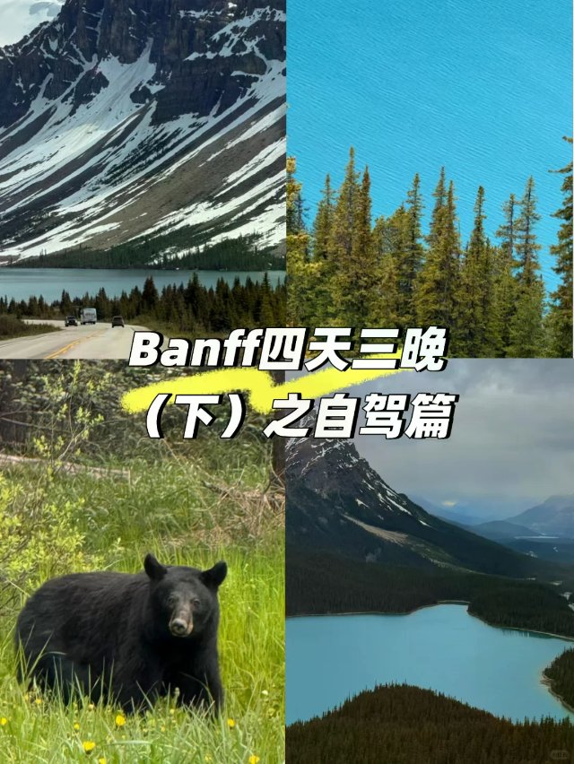 Banff四天三晚(下)|不踩雷路...