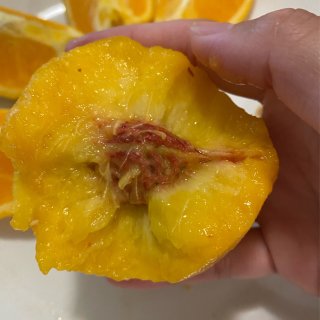 健康午餐😁有机94044黄桃🍑加州橙子🍊...