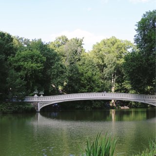 Central Park 初夏🌳...