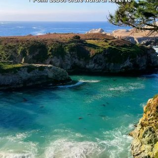 加州1号公路自驾攻略🌊附拍照机位+不绕路...