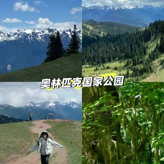 奥林匹克国家公园｜两日超绝攻略...