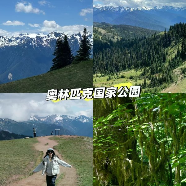 笔记图片