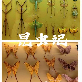 成都自然博物馆｜宝石+恐龙一站式搞定！...