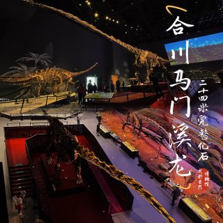 成都自然博物馆｜宝石+恐龙一站式搞定！...