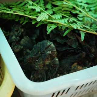 云南吃野生菌，亲眼目睹救护车上门拉人……...