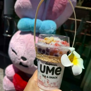 UME 泡鲁达 get