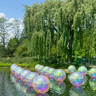 芝加哥植物园梦核新展+蝴蝶展...