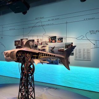 🎬《大白鲨》50周年纪念展 (Jaws:...