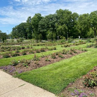  Lyndale Park Garden...