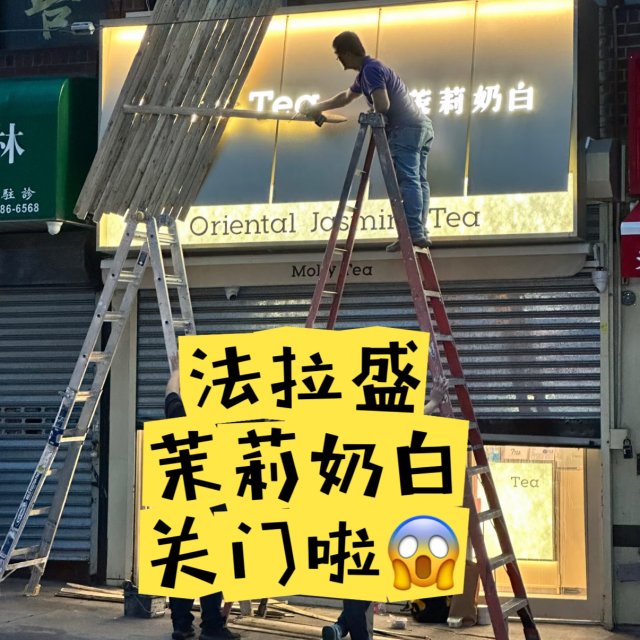 紐約｜What？茉莉奶白居然關門啦！