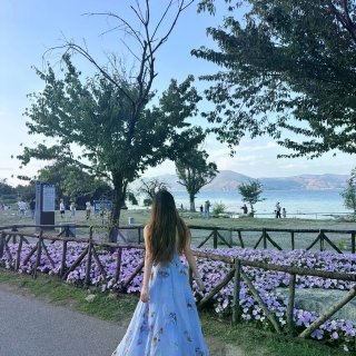 洱海边🌊