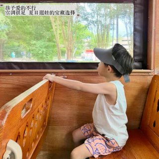 休斯顿竟然有免费的复古铛铛车🚌✨...