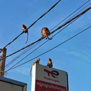 🇰🇭金边|千庙之国，逛逛柬埔寨的首都...