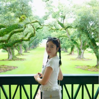 误入NOLA的夏日秘境🌳...