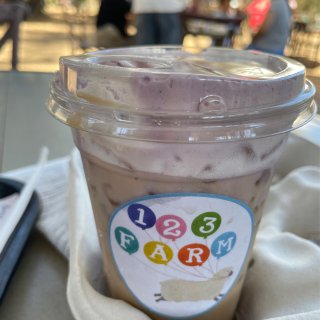 難以抗拒的紫色浪漫 洛杉磯最大的薰衣草園...