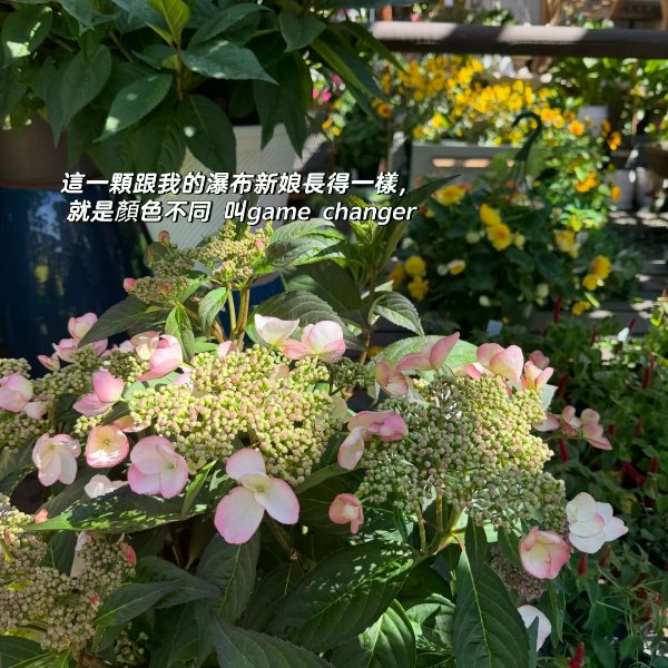 笔记图片