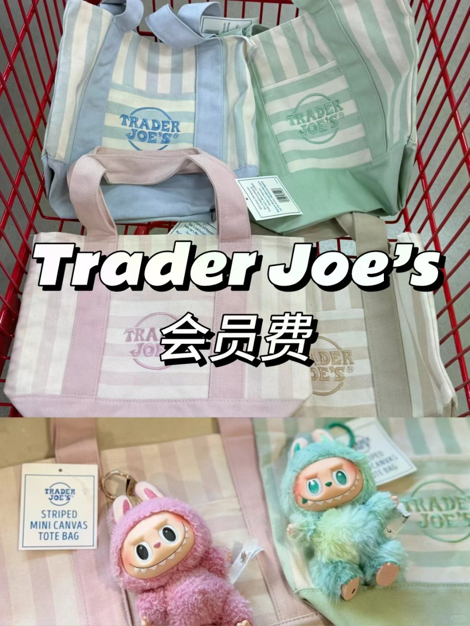 🇺🇸北美｜今天又来缺德舅交会员费了💰...