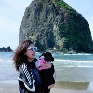 Cannon Beach | 不小心掉进...