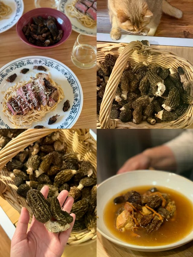 羊肚菌尝鲜