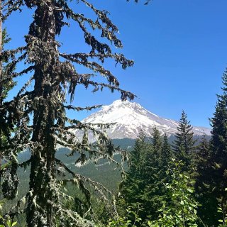 💙Mt. Hood | 1 Day Ro...