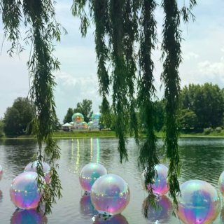 芝加哥植物园梦核新展+蝴蝶展...