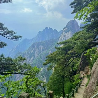 黄山：都不白来嗷！使劲爬就完了...