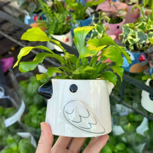 笔记图片
