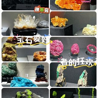 成都自然博物馆｜宝石+恐龙一站式搞定！...