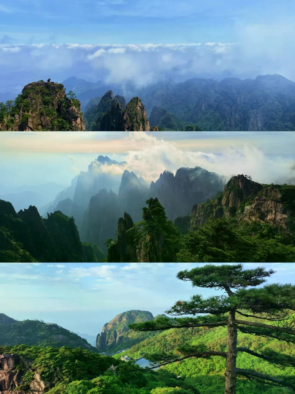 黄山：都不白来嗷！使劲爬就完了...