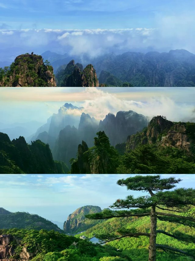 黄山：都不白来嗷！使劲爬就完了