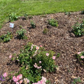  Lyndale Park Garden...