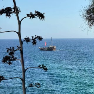 Tenerife穷游旅行美食日记plog...