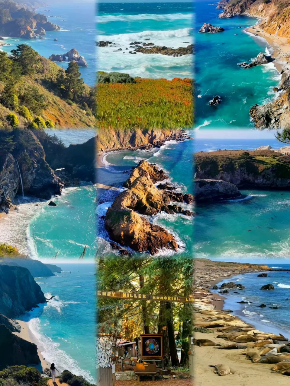 加州1号公路自驾攻略🌊附拍照机位+不绕路...