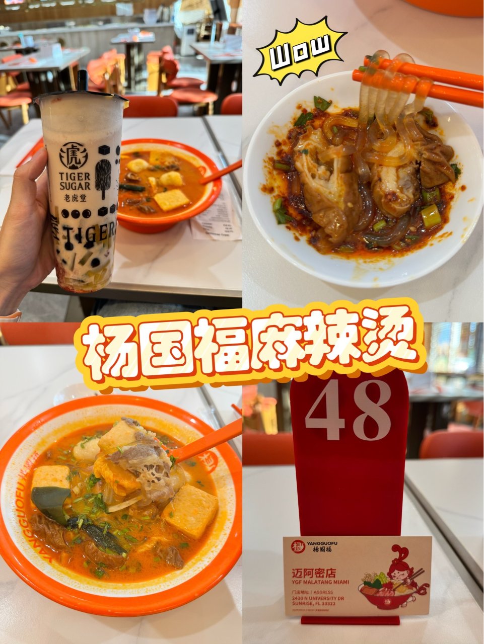 🍲杨国福麻辣烫｜🌴迈阿密美食荒漠冉冉升起...