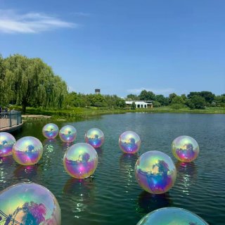 芝加哥植物园梦核新展+蝴蝶展...