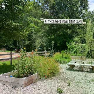 休斯顿｜40℃也能遛娃！✨空调+免费+自...