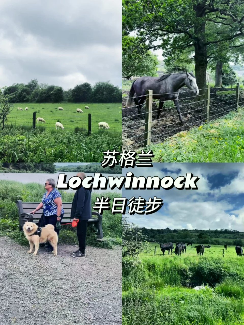 Lochwinnock徒步｜去格拉斯哥周...
