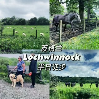 Lochwinnock徒步｜去格拉斯哥周...