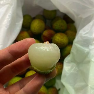 🇩🇪荔枝测评