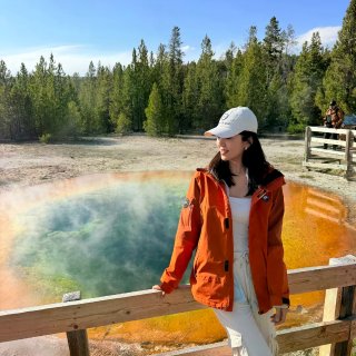 终于见到 黄石国家公园的牵牛花啦...