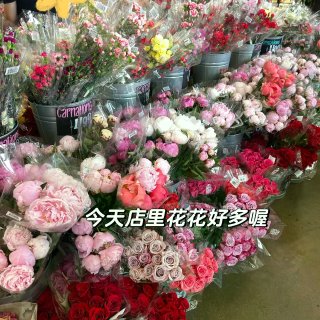 缺德舅｜新香薰颜值有点儿高啊‼️...
