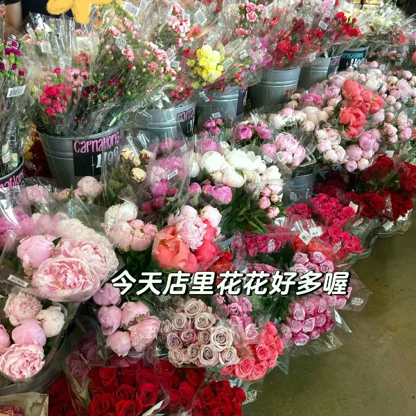 笔记图片