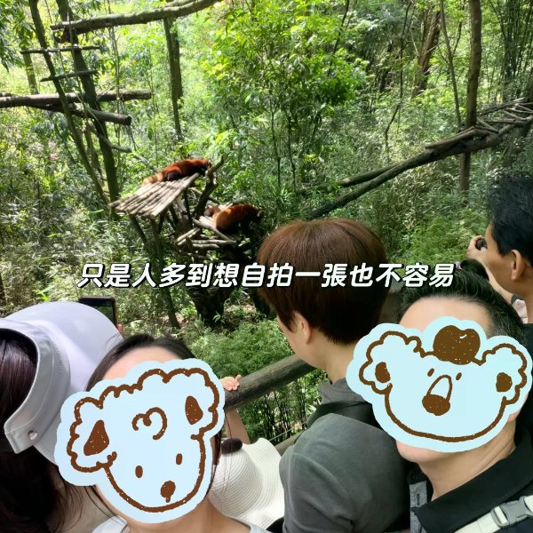 笔记图片