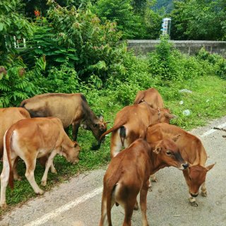 🇱🇦Vang Vieng|万荣，户外人的...