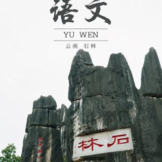 语文课本里的石林，亲眼看到了！带娃一日游...
