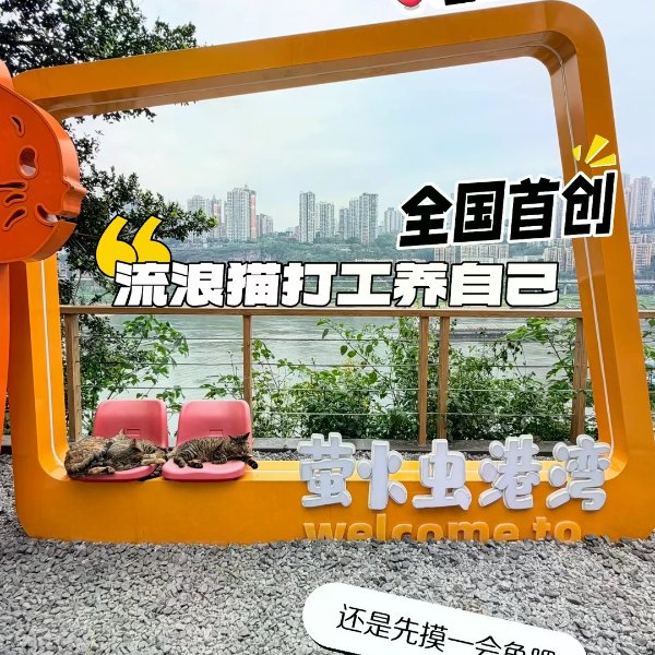 笔记图片