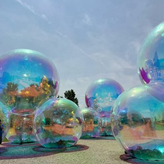 芝加哥植物园梦核新展+蝴蝶展...