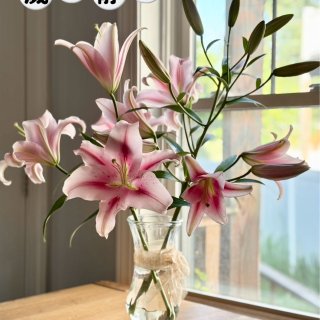 今日小確幸｜家裡的香水百合大豐收💖🌸...