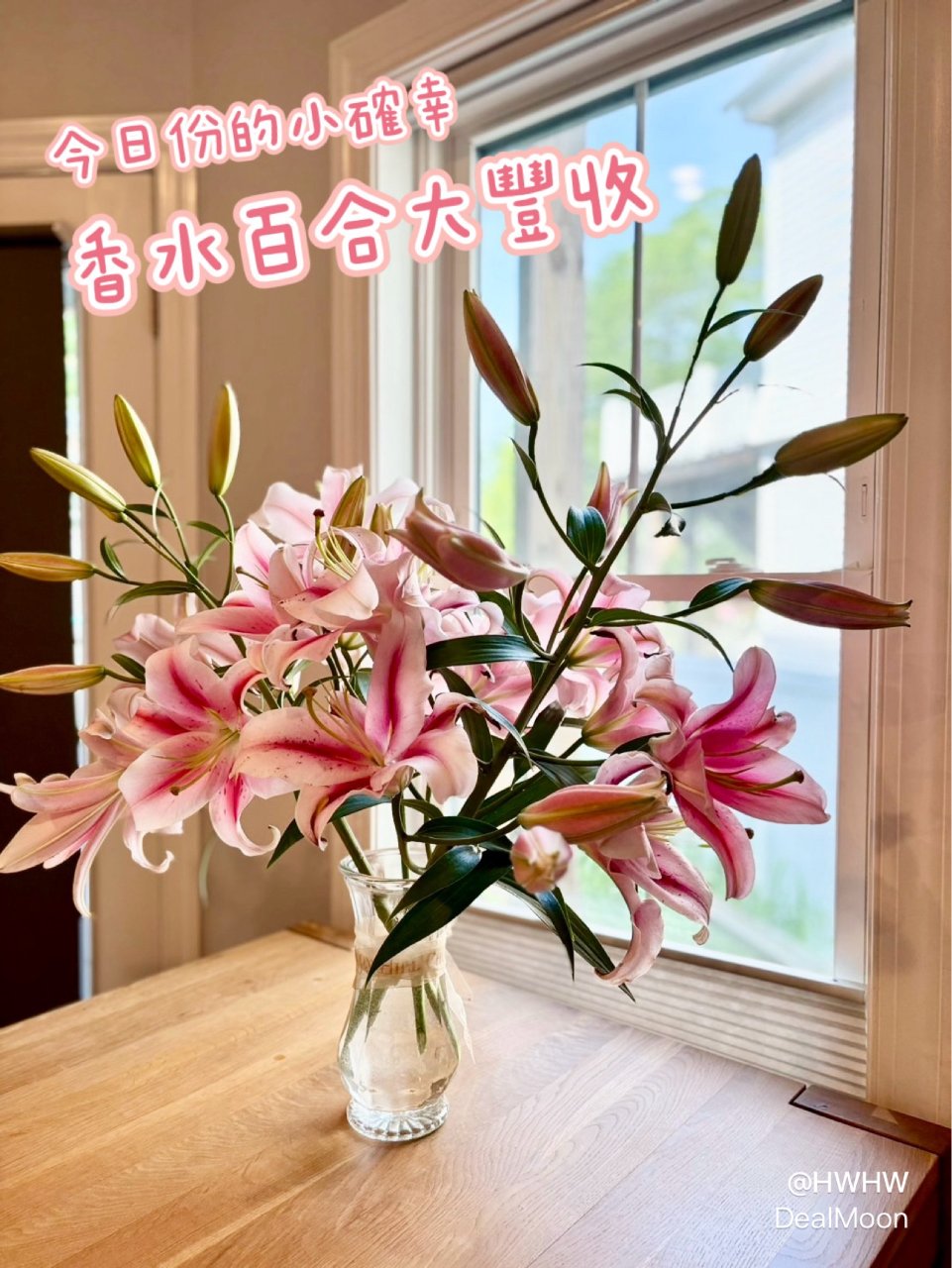 今日小確幸｜家裡的香水百合大豐收💖🌸...